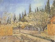 Vincent Van Gogh Orchard in Blossom,Bordered by Cypresses (nn04) oil painting reproduction